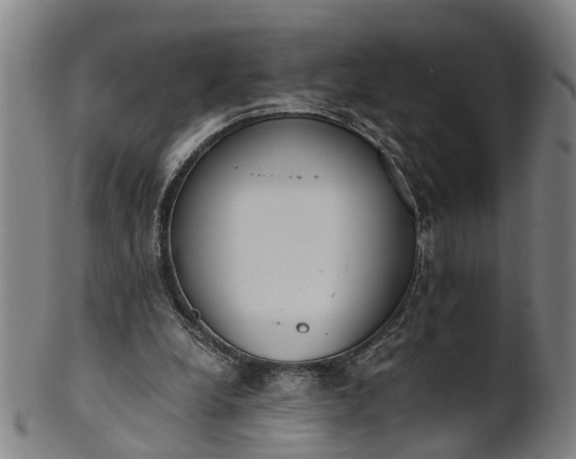 X0000101660248200807241424