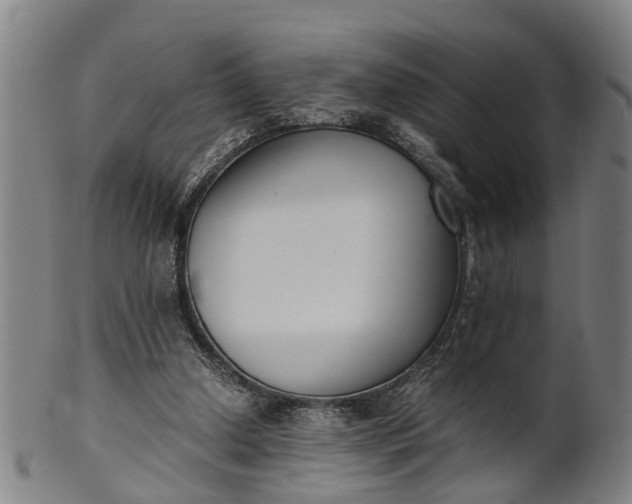 X0000101660250200807241424