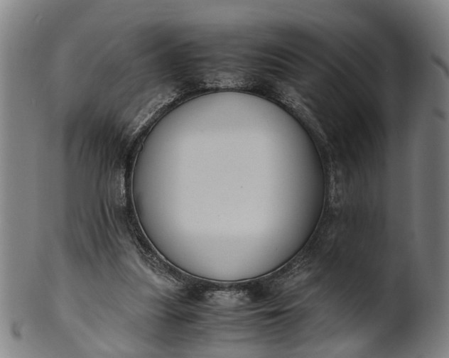 X0000101660251200807241424