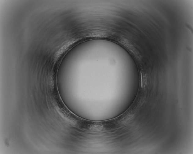 X0000101660252200807241424