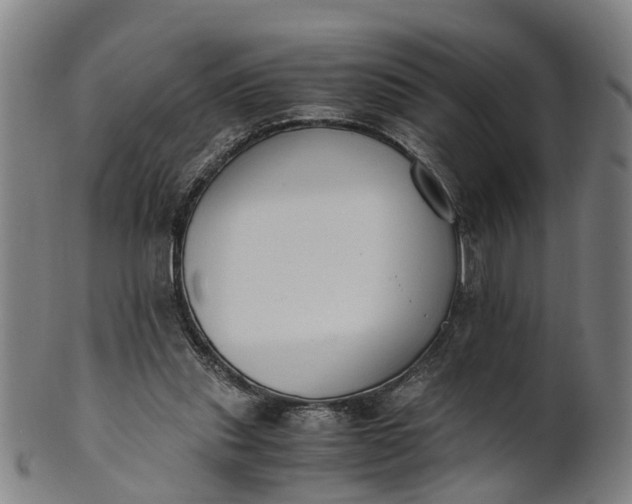 X0000101660253200807241424