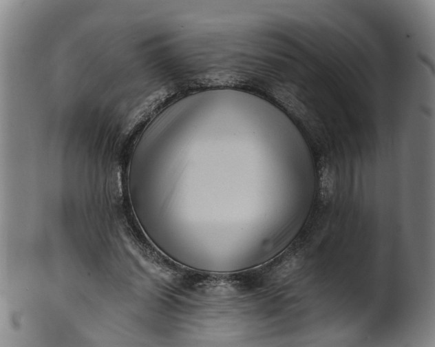 X0000101660254200807241424