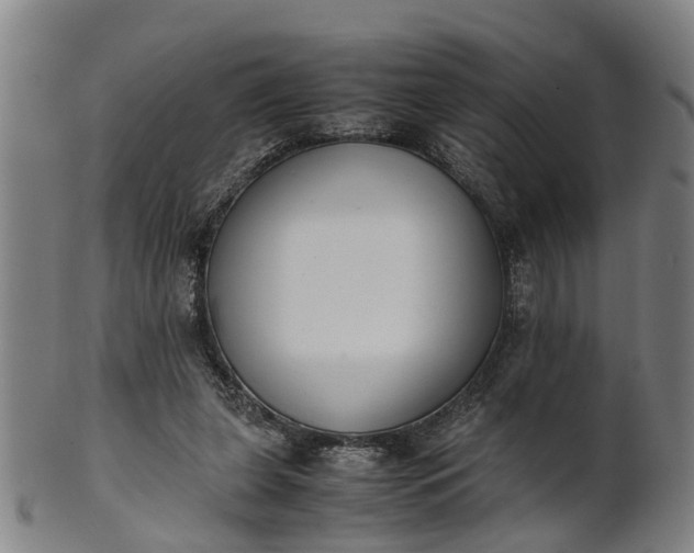 X0000101660255200807241424