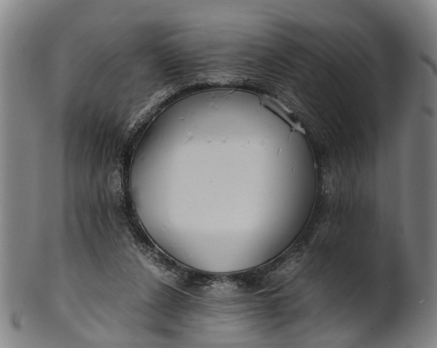 X0000101660256200807241424