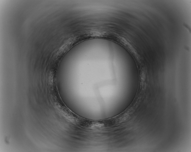 X0000101660257200807241424