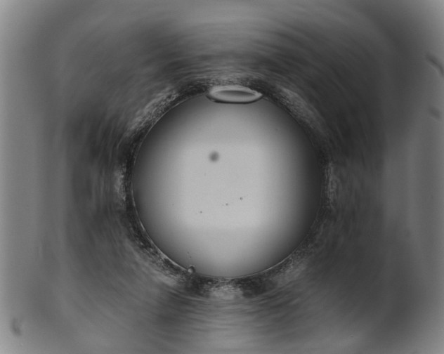 X0000101660258200807241424