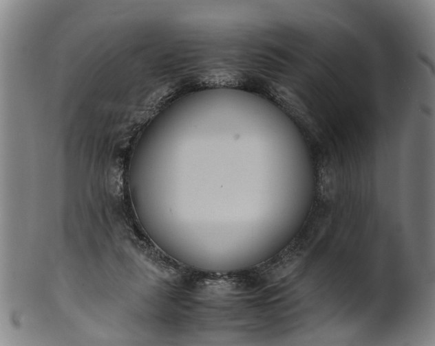 X0000101660259200807241424