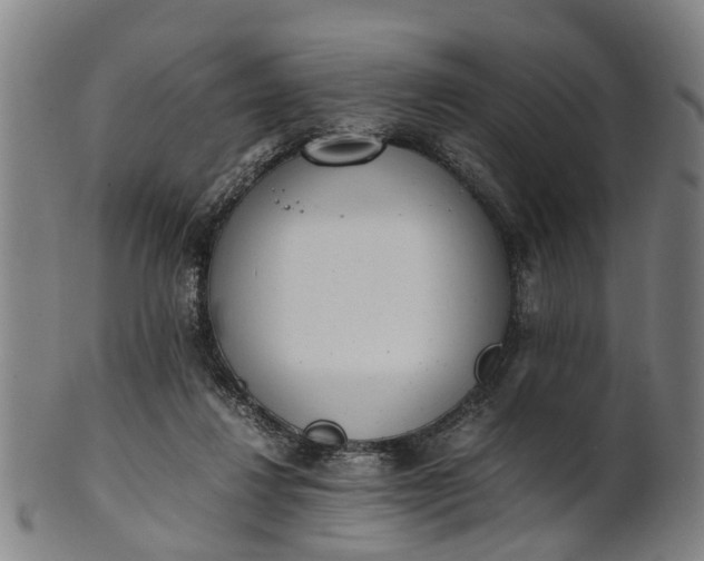 X0000101660260200807241424