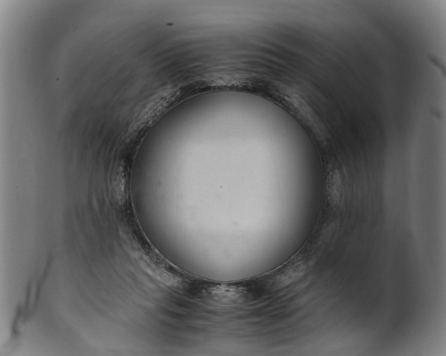 X0000101660261200807241424