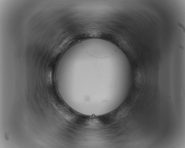 X0000101660262200807241424