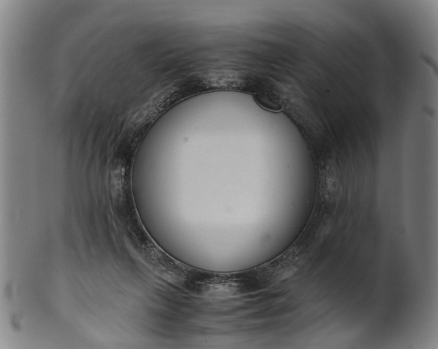 X0000101660263200807241424