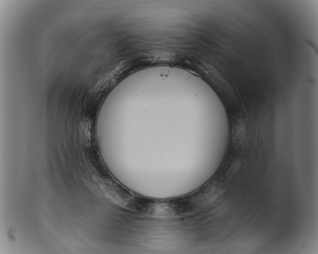 X0000101660264200807241424