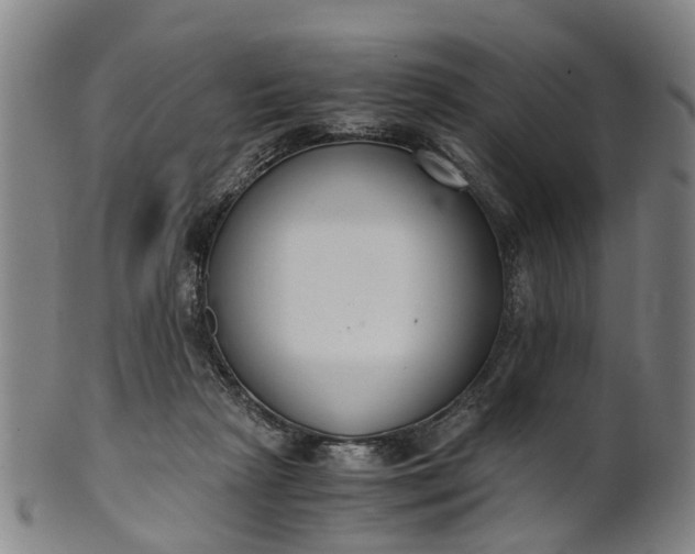 X0000101660265200807241424