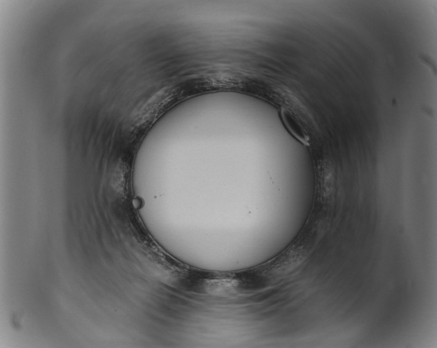 X0000101660266200807241424