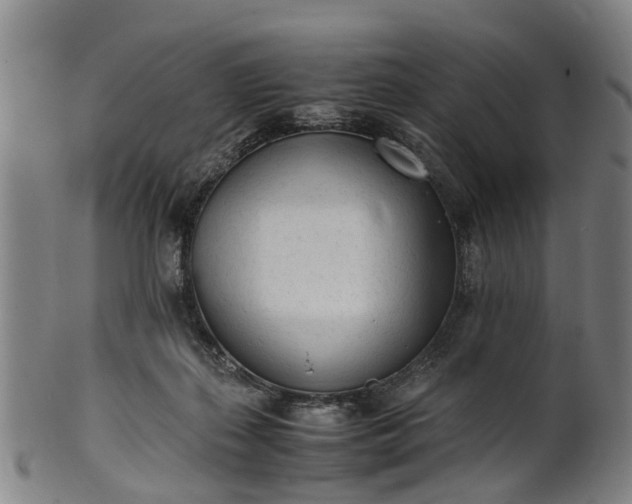 X0000101660267200807241424