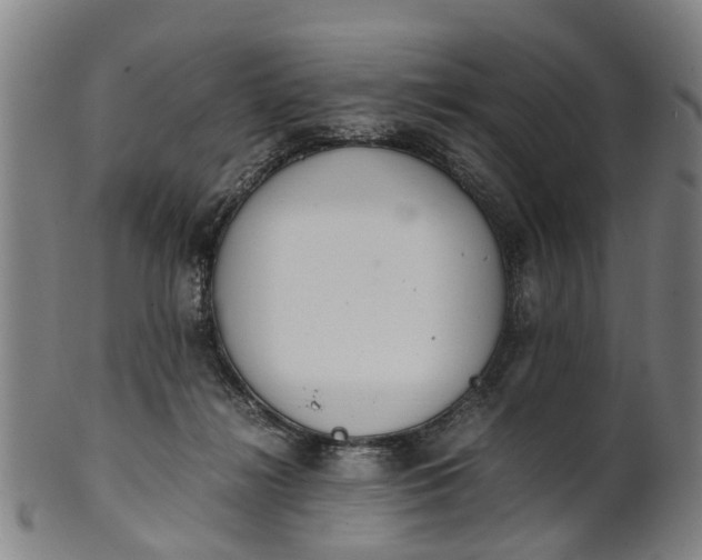 X0000101660268200807241424