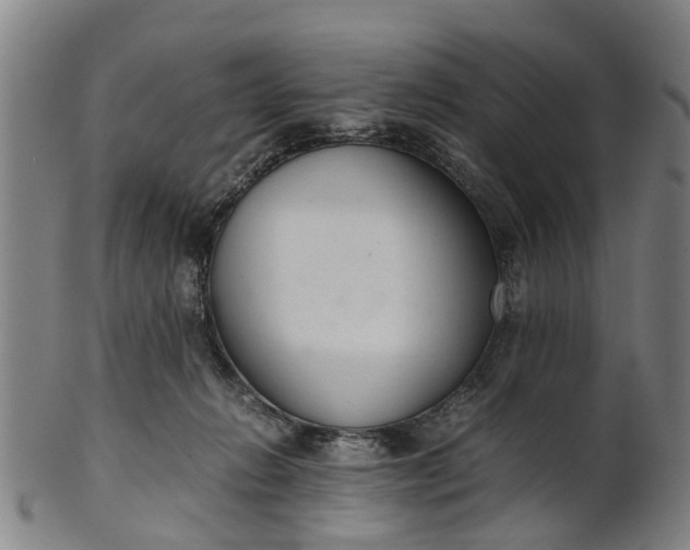 X0000101660270200807241424