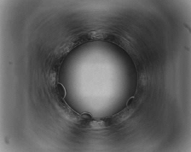 X0000101660271200807241424