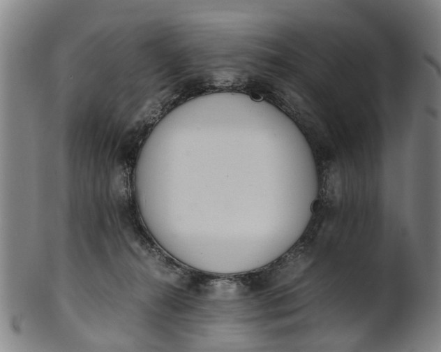 X0000101660272200807241424