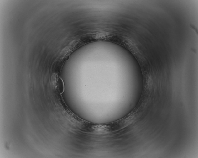 X0000101660273200807241424