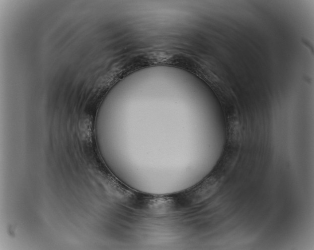 X0000101660274200807241424