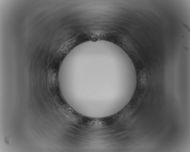 X0000101660276200807241424