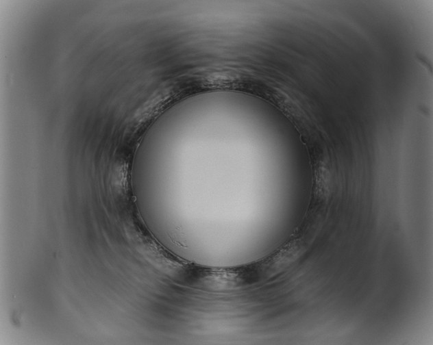 X0000101660278200807241424