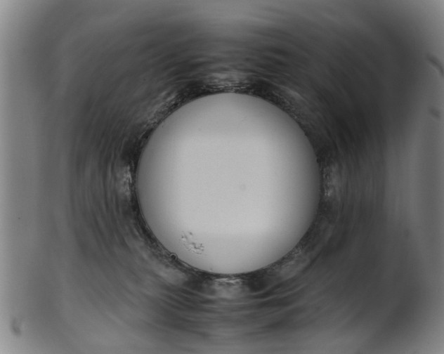 X0000101660279200807241424