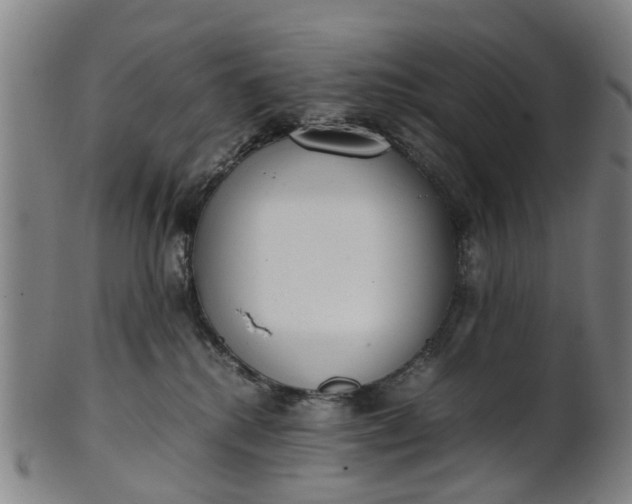 X0000101660280200807241424