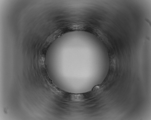 X0000101660281200807241424