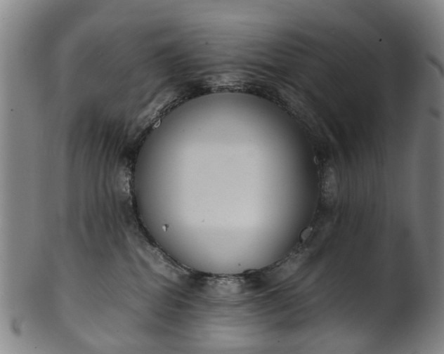 X0000101660282200807241424