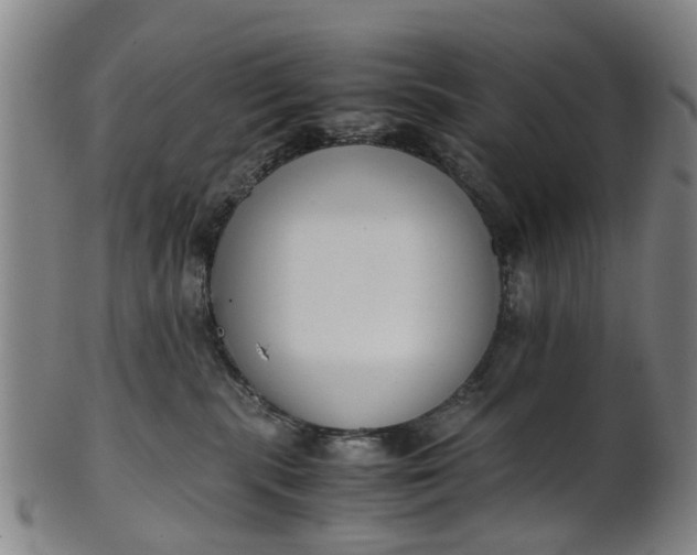 X0000101660283200807241424