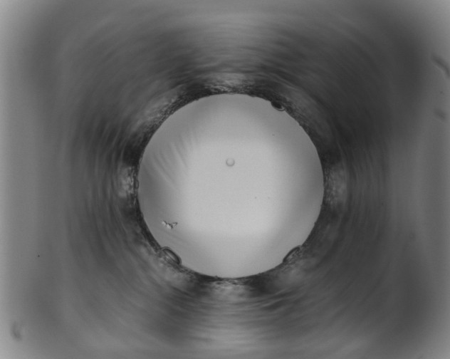 X0000101660284200807241424