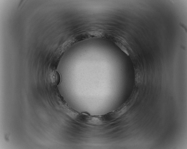 X0000101660285200807241424