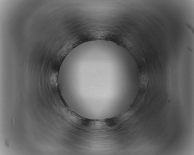 X0000101660286200807241424