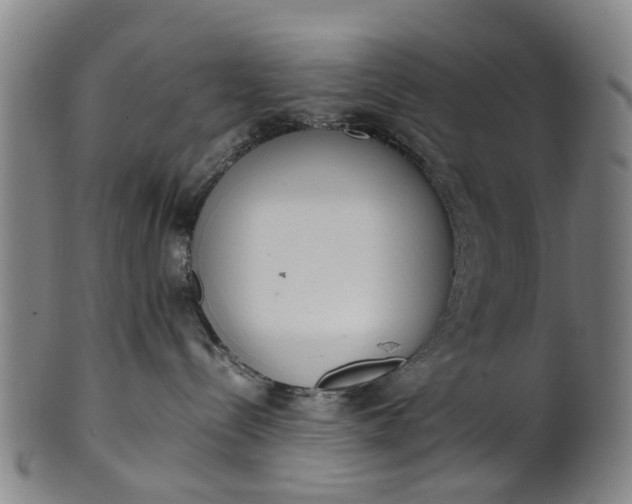 X0000101660288200807241424