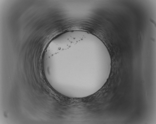 X0000101660289200807241424