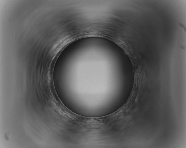 X0000101660290200807241424