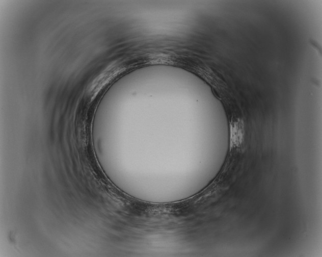 X0000101660291200807241424