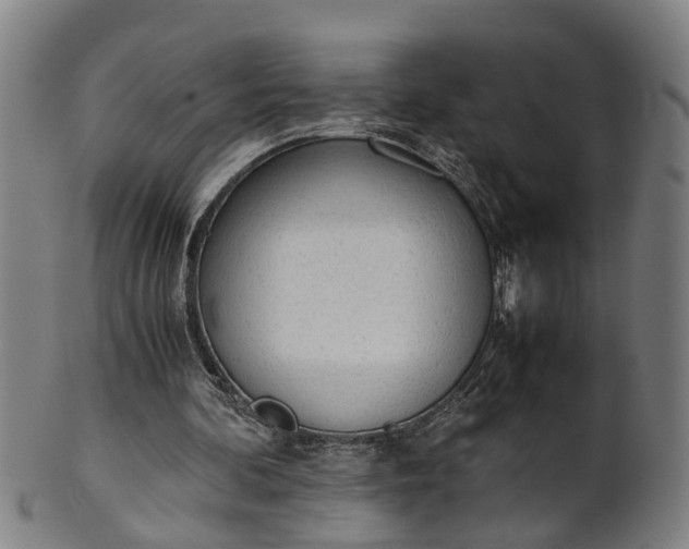 X0000101660292200807241424