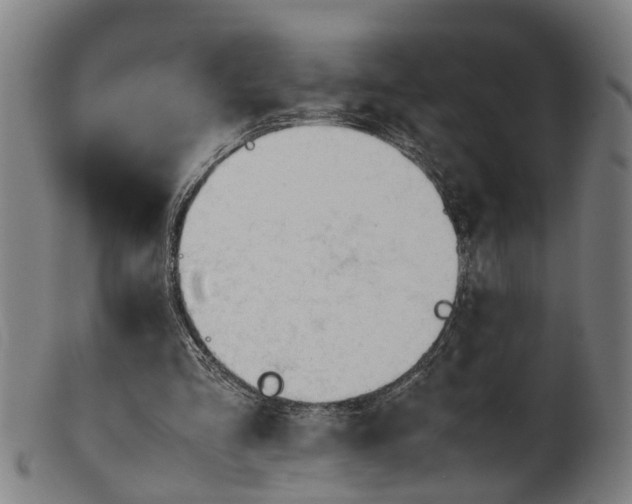 X0000101660293200807241424