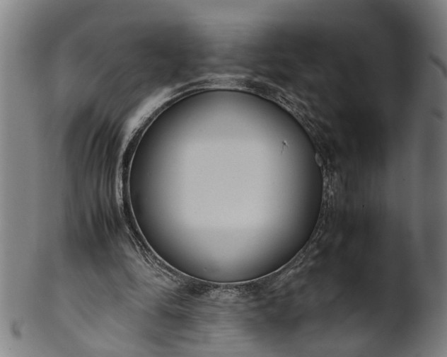 X0000101660294200807241424