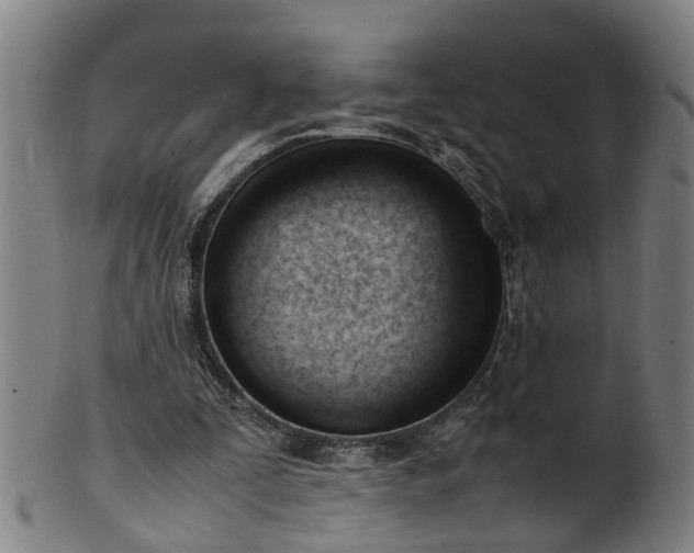 X0000101660295200807241424