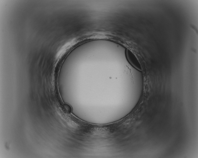 X0000101660296200807241424