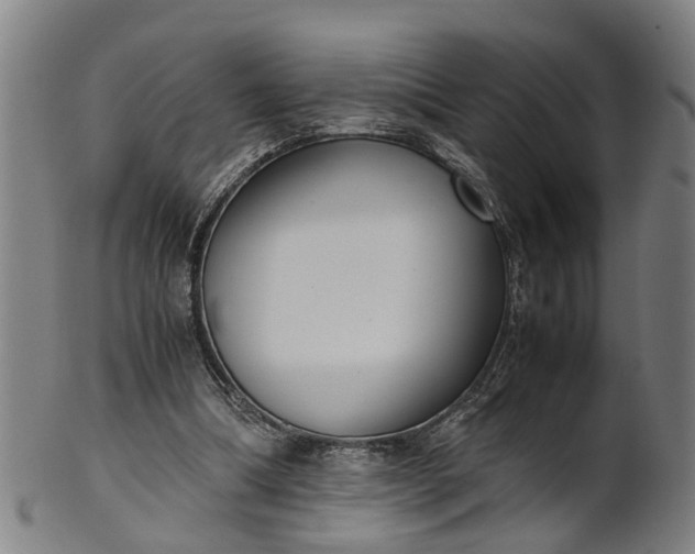 X0000101660298200807241424