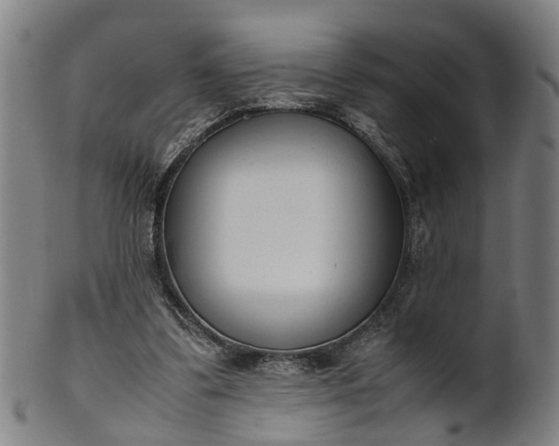 X0000101660299200807241424