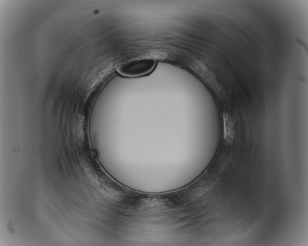 X0000101660300200807241423