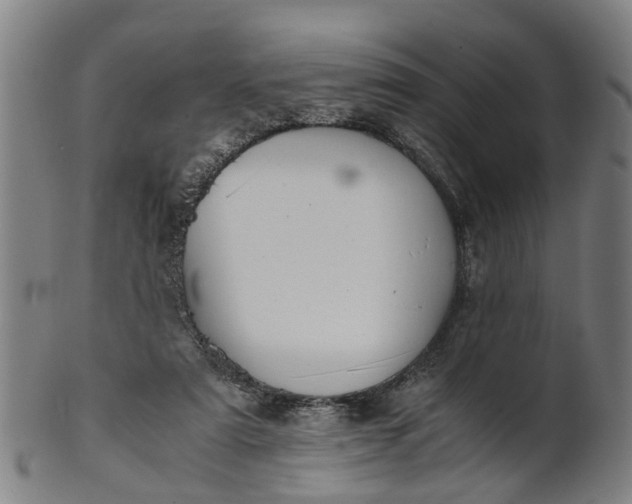 X0000101660307200807241423