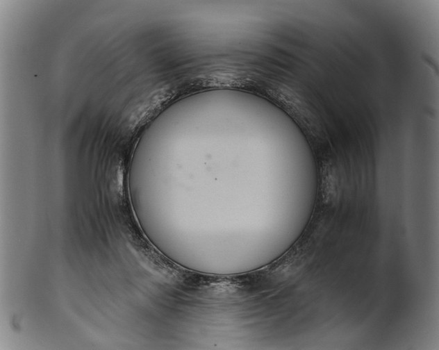 X0000101660310200807241423