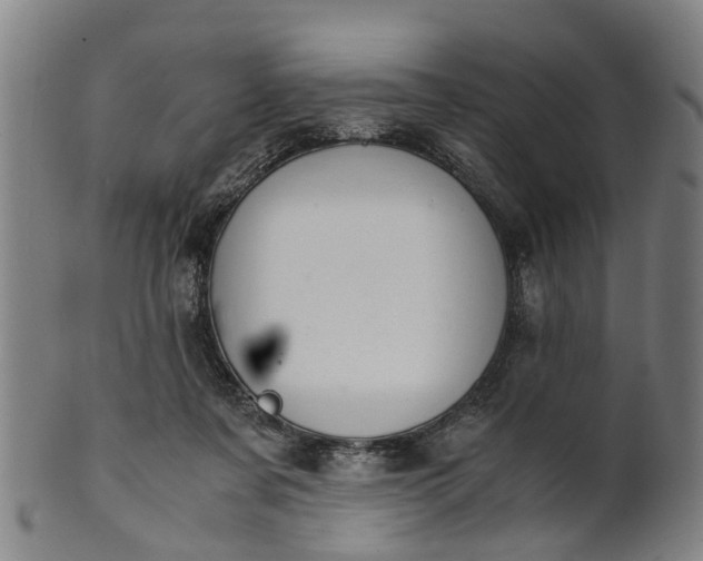 X0000101660311200807241423